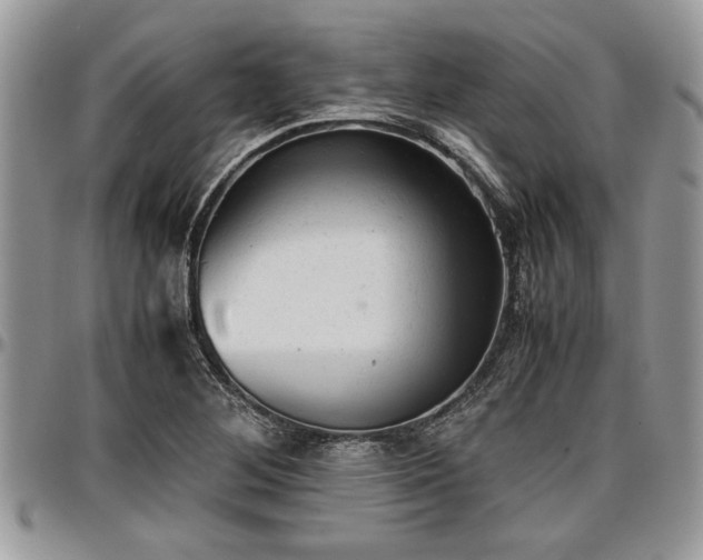 X0000096941268200802151206