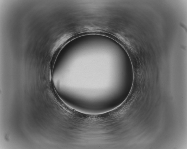 X0000096941269200802151206