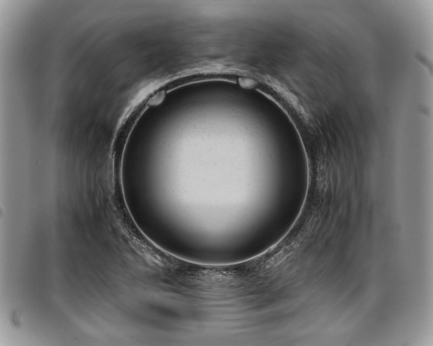 X0000096941270200802151206