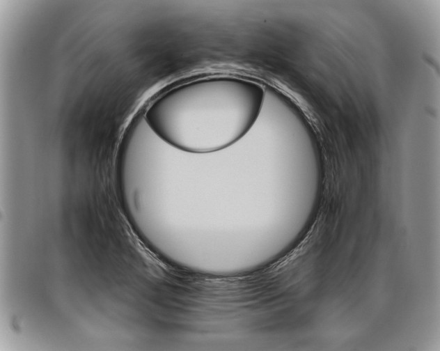 X0000096941272200802151206