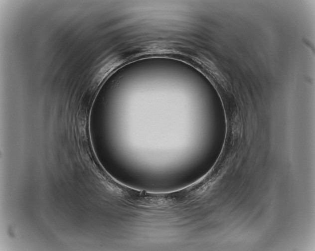 X0000096941273200802151206
