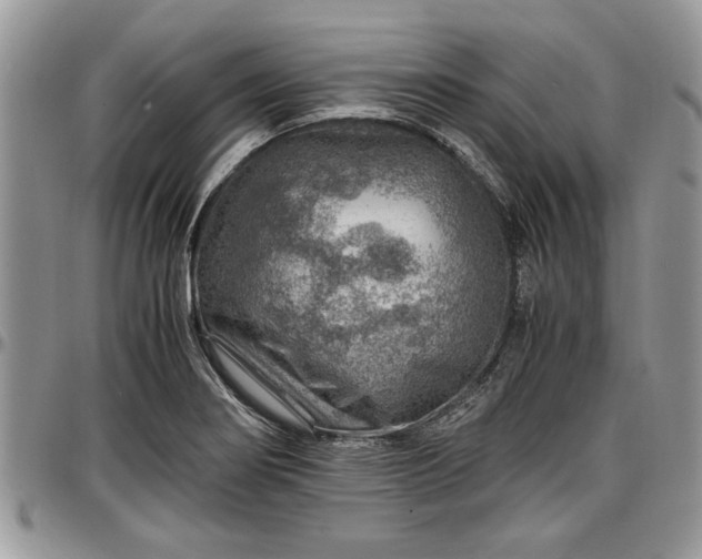 X0000096941274200802151206