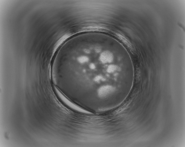 X0000096941275200802151206
