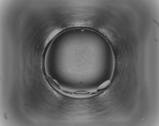 X0000096941277200802151206
