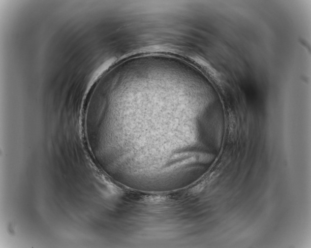 X0000096941278200802151206