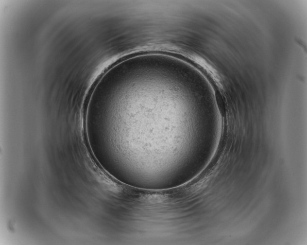 X0000096941280200802151206