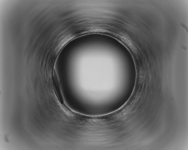 X0000096941281200802151206