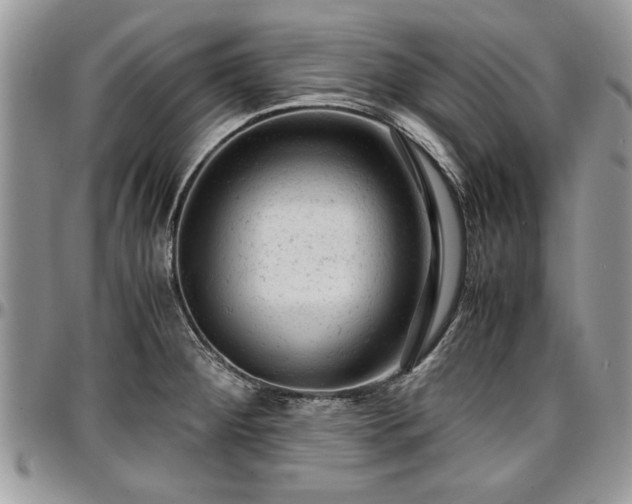 X0000096941284200802151206