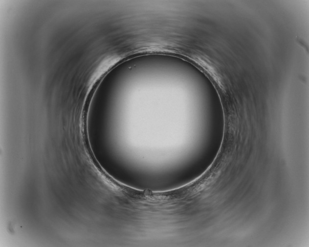 X0000096941285200802151206