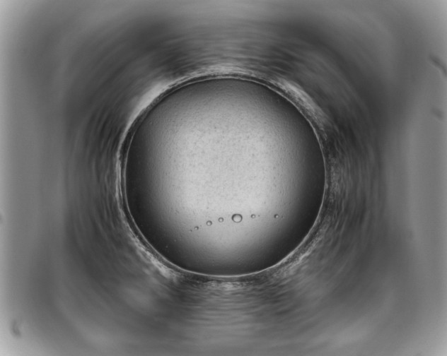 X0000096941286200802151206