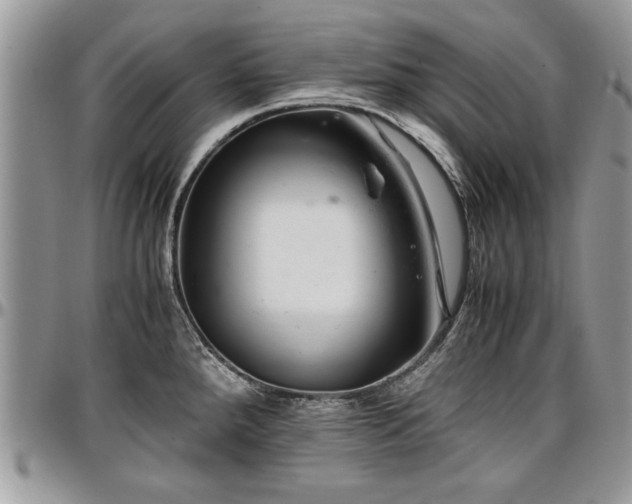 X0000096941288200802151206