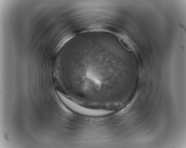 X0000096941289200802151206