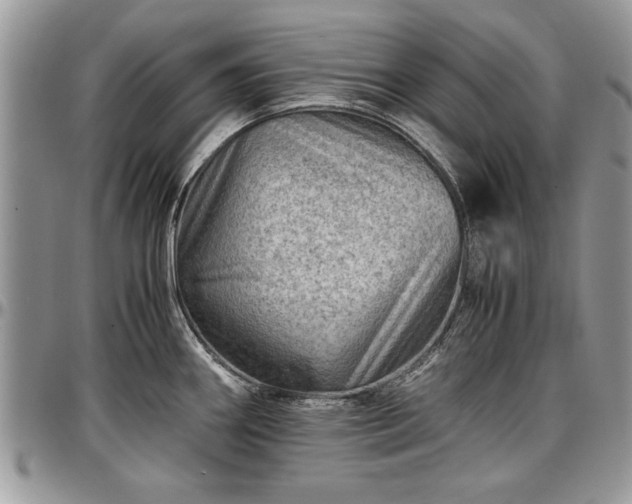 X0000096941290200802151206