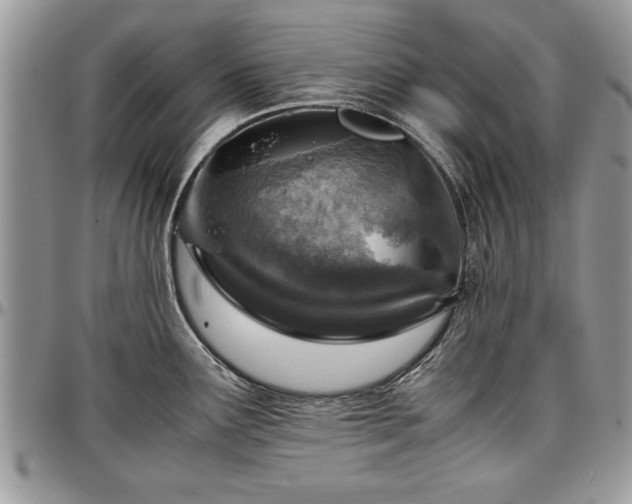 X0000096941291200802151206