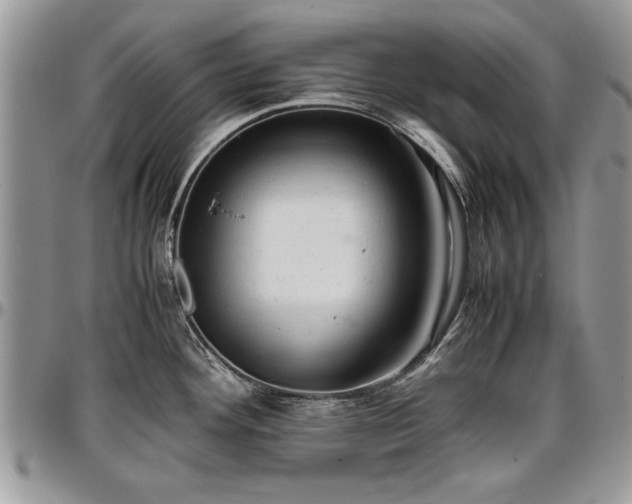 X0000096941292200802151206