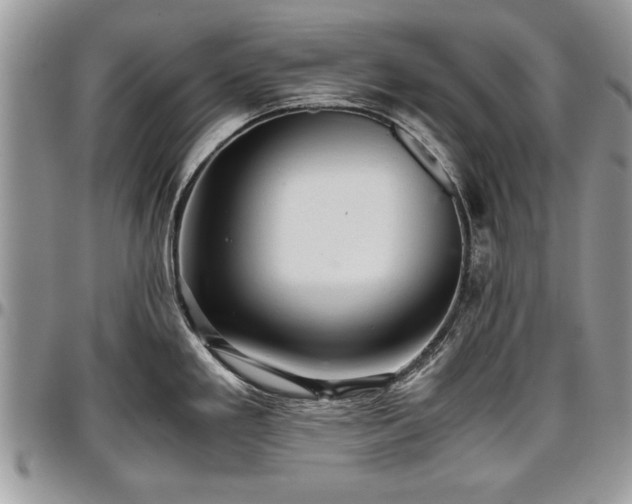X0000096941293200802151206