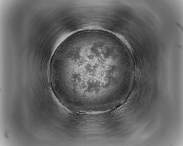 X0000096941295200802151206