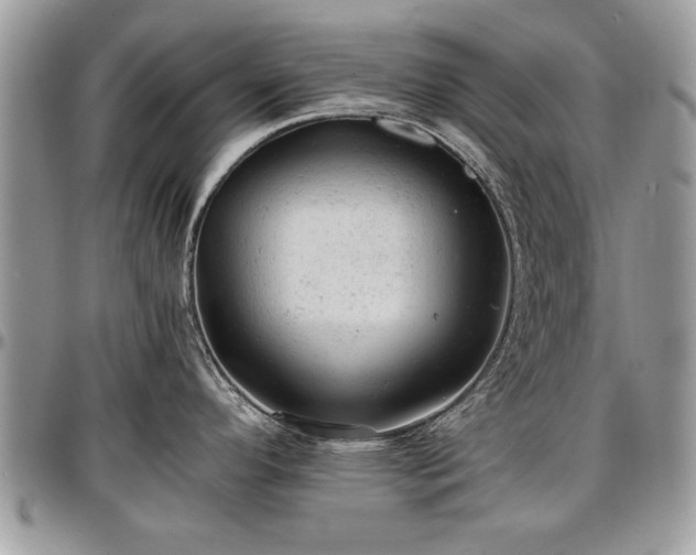 X0000096941296200802151206