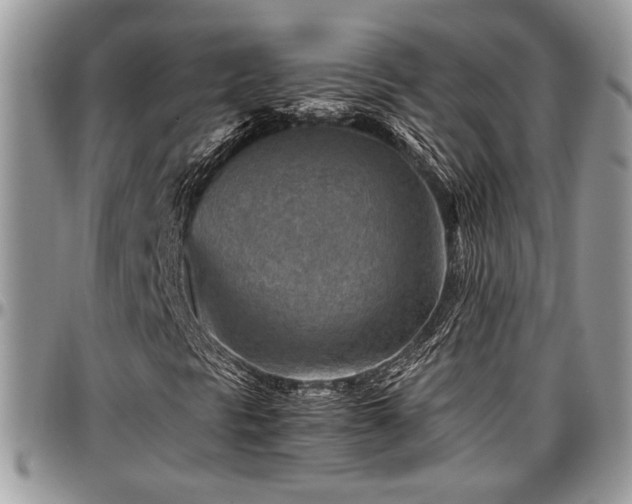 X0000096941297200802151205