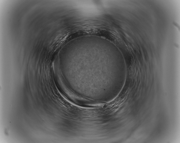 X0000096941298200802151205