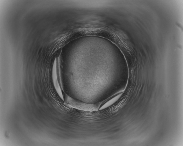 X0000096941300200802151205