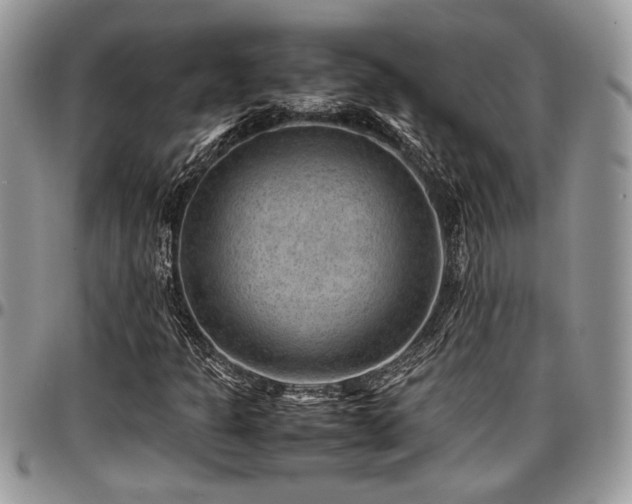 X0000096941301200802151205