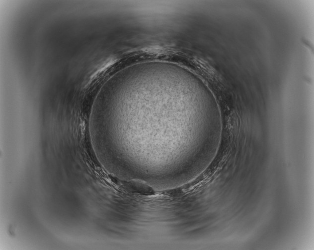 X0000096941302200802151205