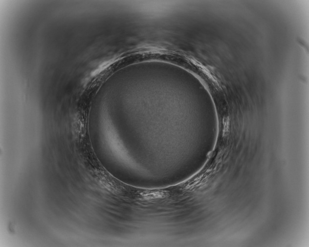 X0000096941303200802151205