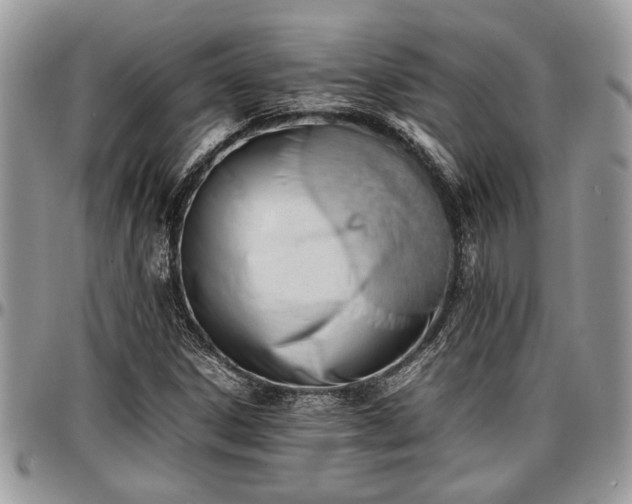 X0000096941306200802151206