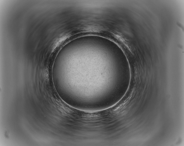 X0000096941307200802151206