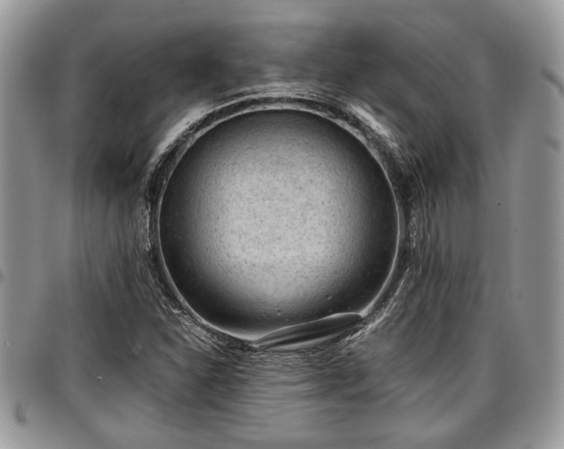 X0000096941310200802151206