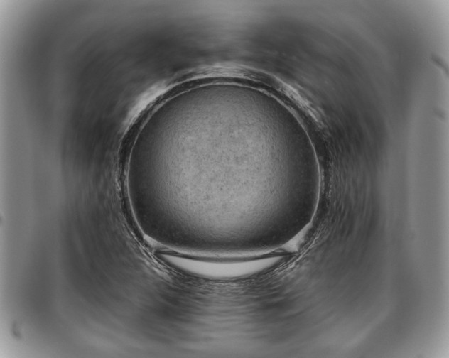 X0000096941312200802151206