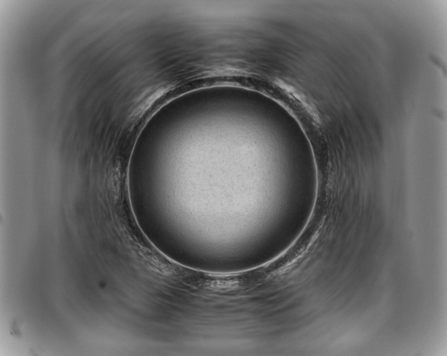 X0000096941313200802151206