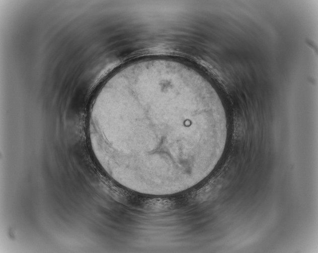 X0000096941314200802151206