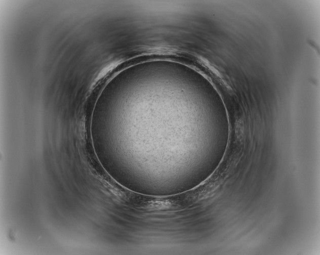 X0000096941315200802151206