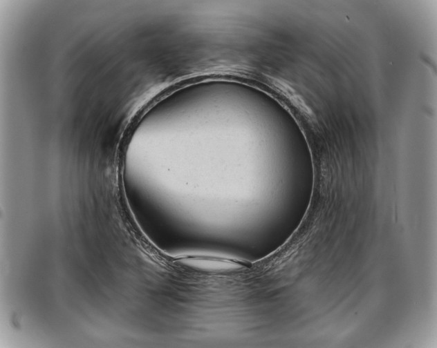 X0000096941316200802151206