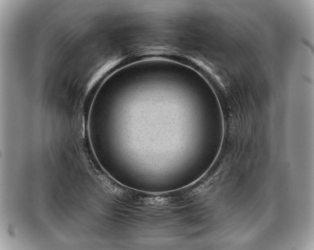 X0000096941317200802151206