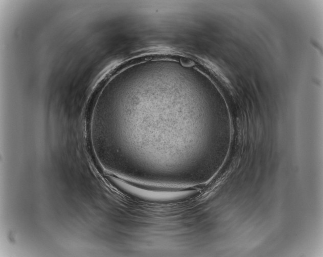 X0000096941318200802151206