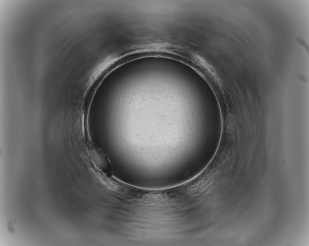 X0000096941320200802151206