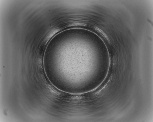 X0000096941321200802151206