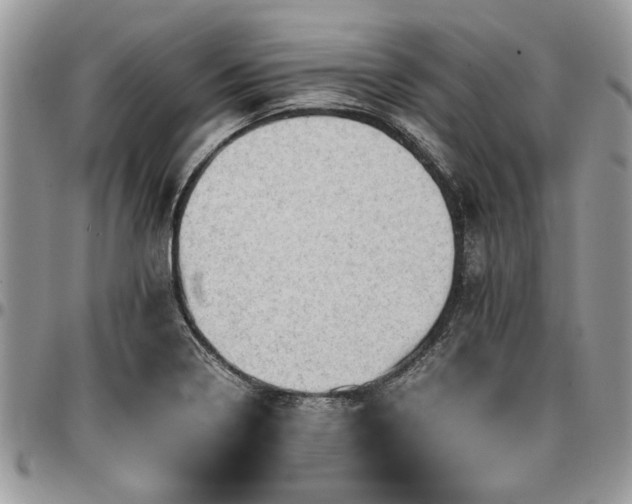 X0000096941322200802151206
