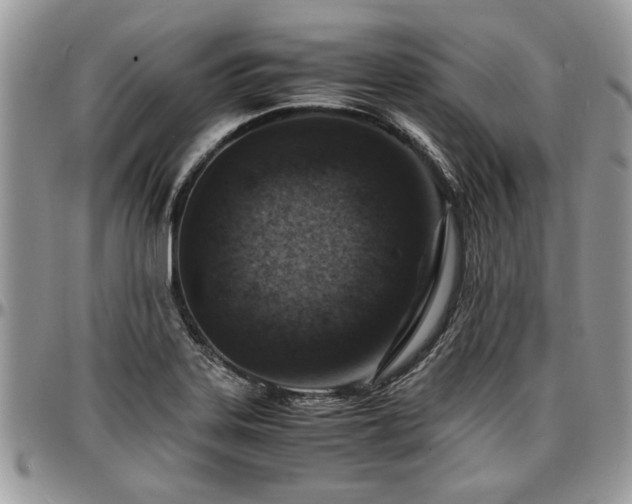 X0000096941323200802151206
