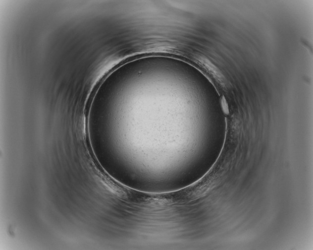 X0000096941324200802151206