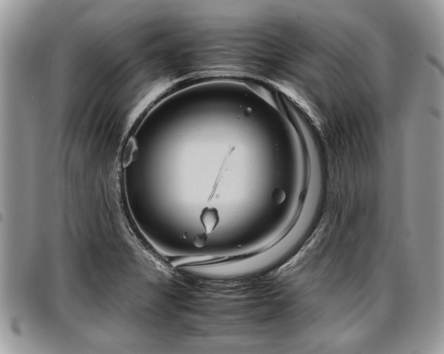 X0000096941325200802151206