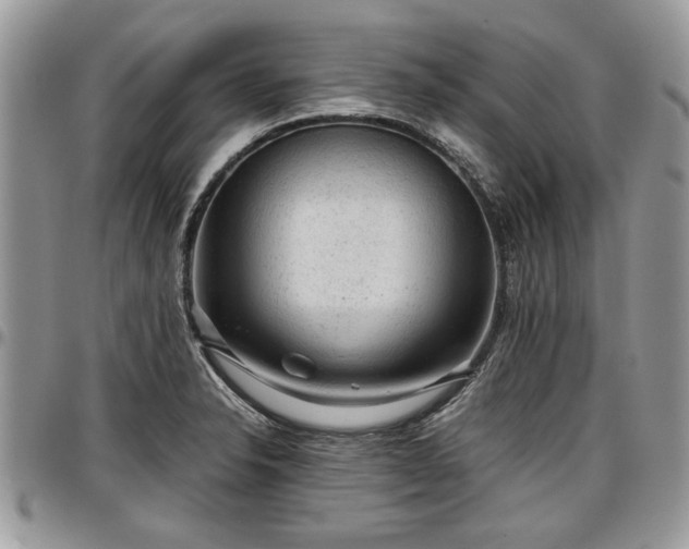 X0000096941326200802151206