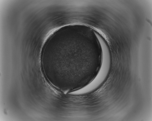 X0000096941327200802151206