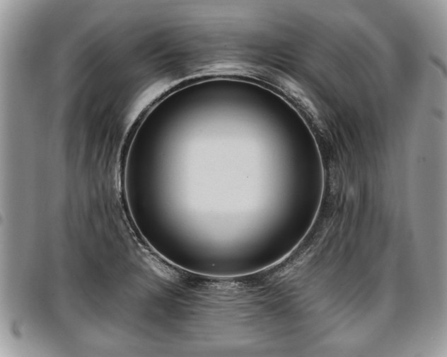 X0000096941328200802151206
