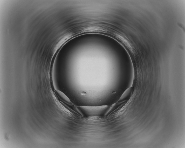 X0000096941330200802151206