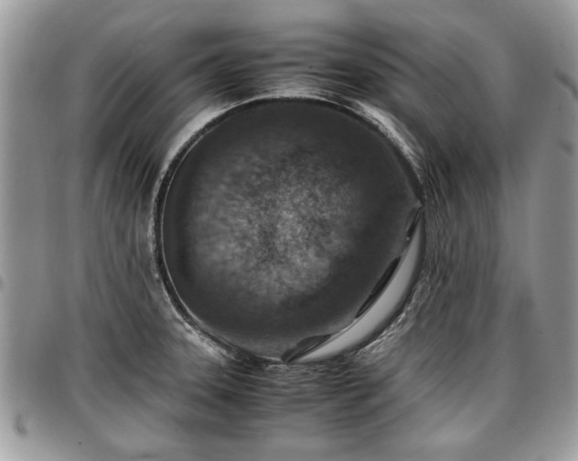 X0000096941331200802151206