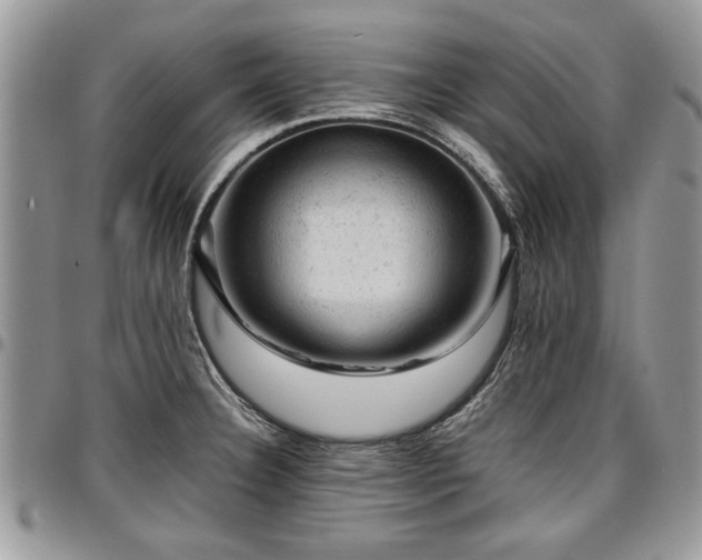 X0000096941332200802151206